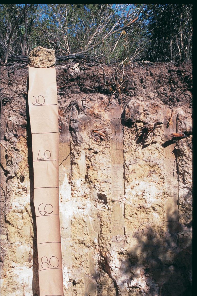 How To Test Soil Texture - Soil Quality Knowledge Base