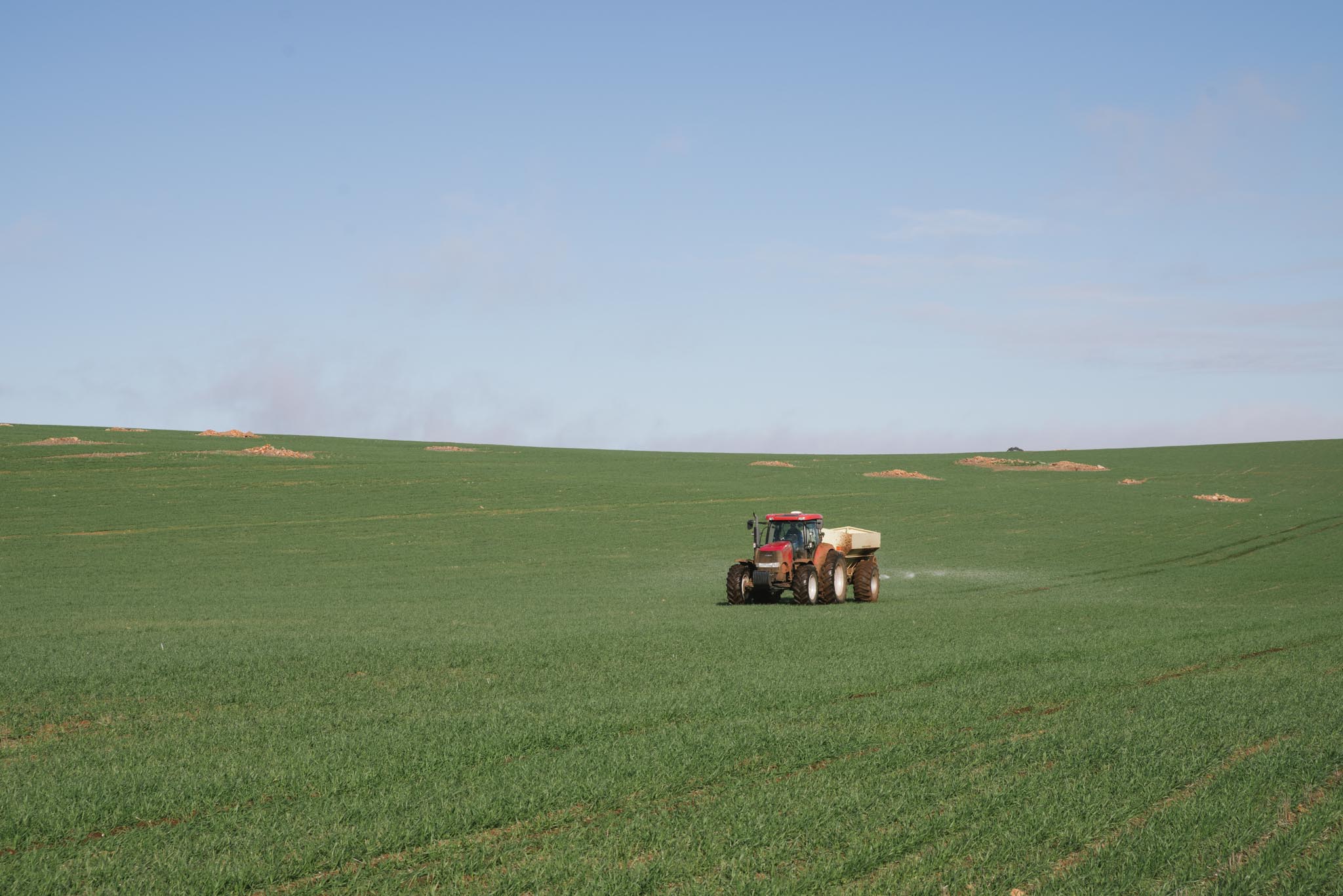 tractor spreading fertiliser in paddock