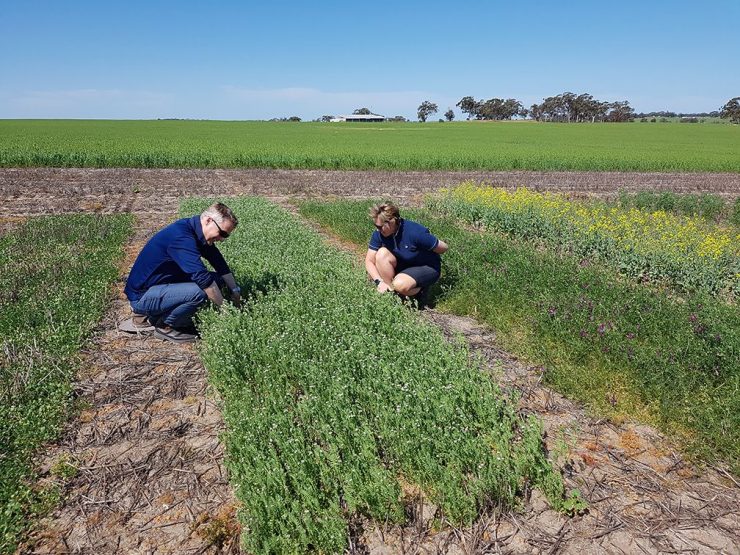 Two people crouching on farm near trial plot