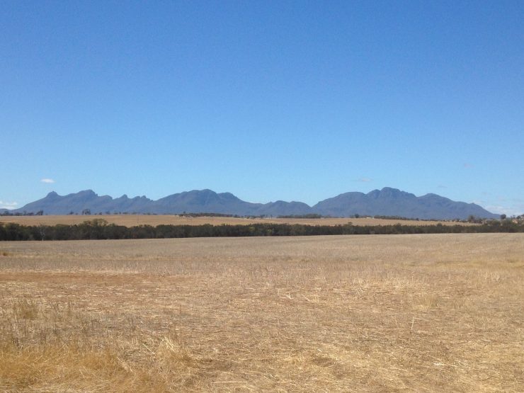 Farm paddock near Stirling Ranges with harvested crop