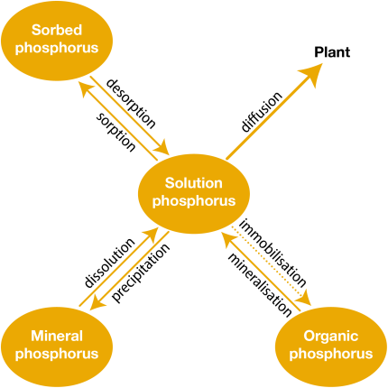 Soil phosphorus testing: Colwell P and DGT-P - WA Soil Knowledge Base