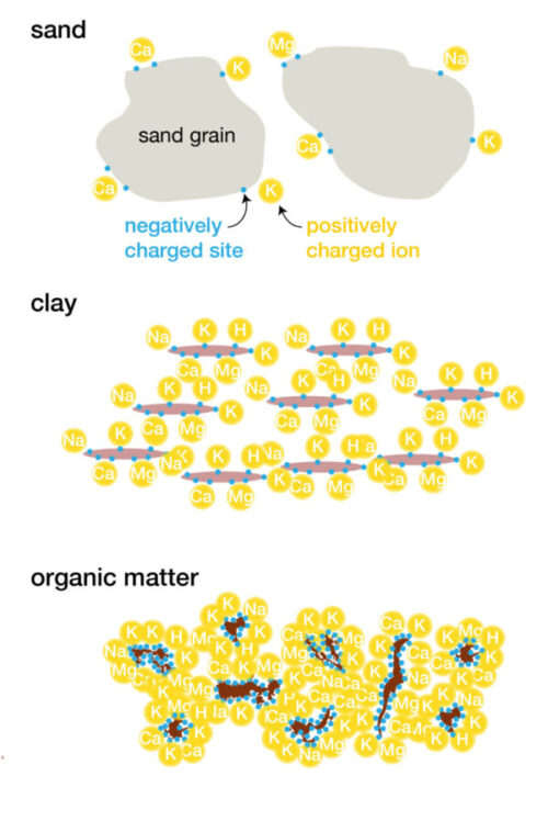 Cation Exchange Capacity - Soil Quality Knowledge Base