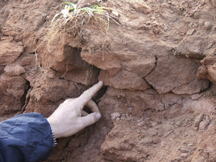Identifying soil constraints - Soil Quality Knowledge Base